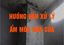 Tường bị ẩm mốc phải làm sao? Nguyên nhân và Cách xử lý hiệu quả