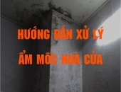 Tường bị ẩm mốc phải làm sao? Nguyên nhân và Cách xử lý hiệu quả